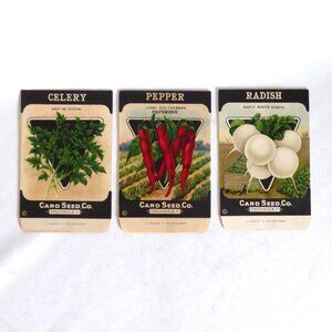 VINTAGE CARD SEED CO SEED PACKET ENVELOPES SET OF 3